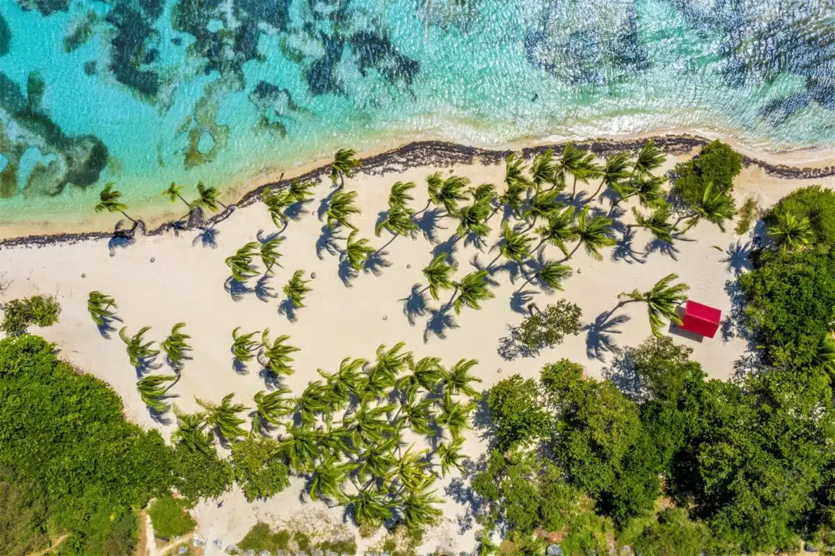 Les charmes cachés de la plage Saint-François un joyau antillais à ne pas manquer 