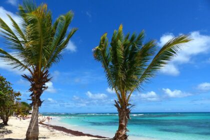 Les charmes cachés de la plage Saint-François un joyau antillais à ne pas manquer