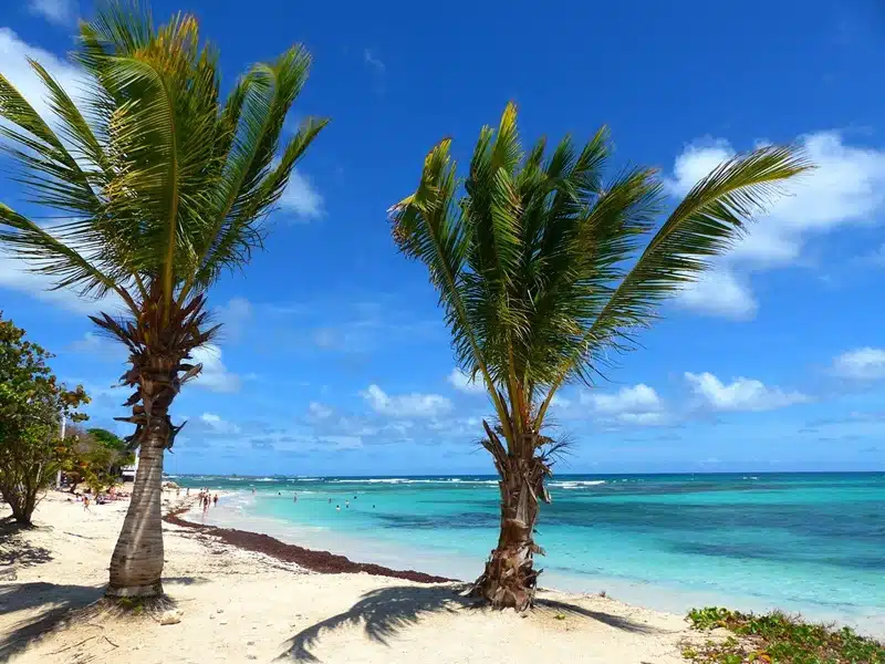 Les charmes cachés de la plage Saint-François un joyau antillais à ne pas manquer